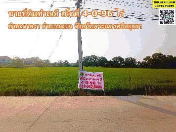 ขายด่วน ที่ดินเหมาะทำการเกษตร ปลูกที่บ้านพักอาศัย ติดถนน ตำบลลาดงา อำเภอเสนา จังหวัดพระนครศรีอยุธยา 